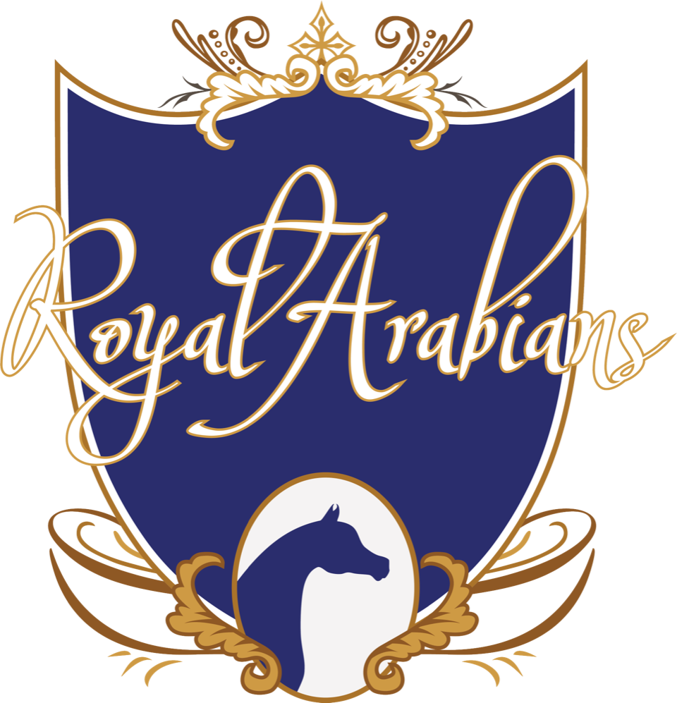Royal Arabians